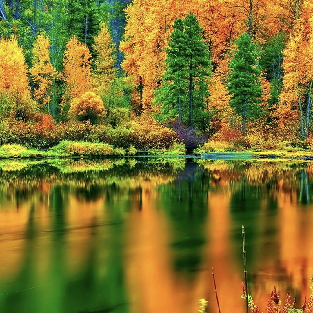 Autumn Lake