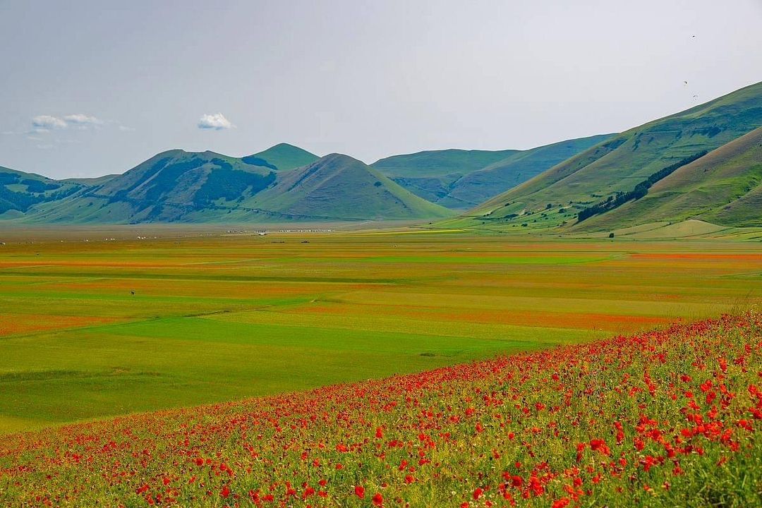 Castelluccio(카스텔루치오), Italy