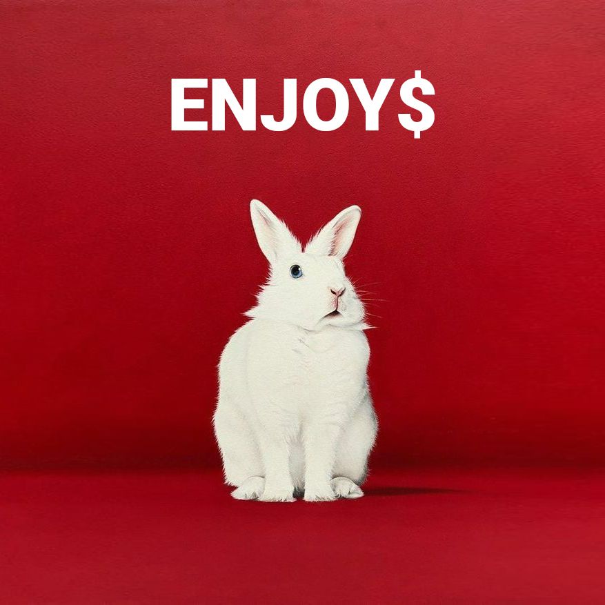 enjoy.rabbit