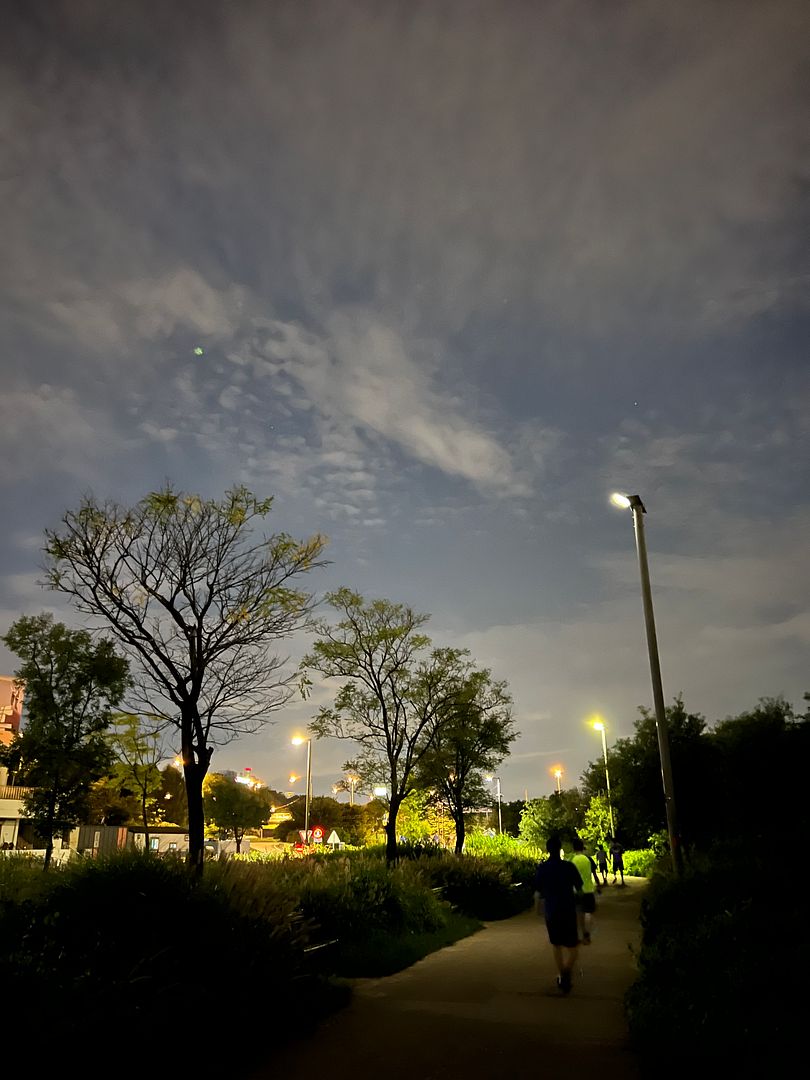 Night walks_2