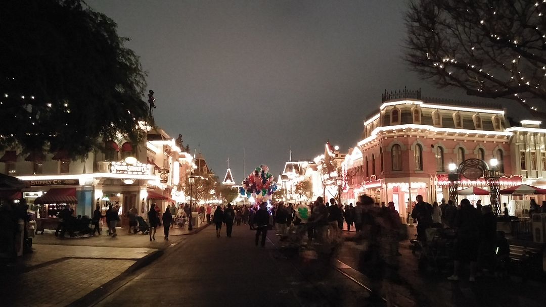 the night, Disneyland