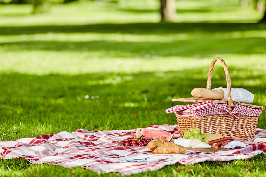 picnic