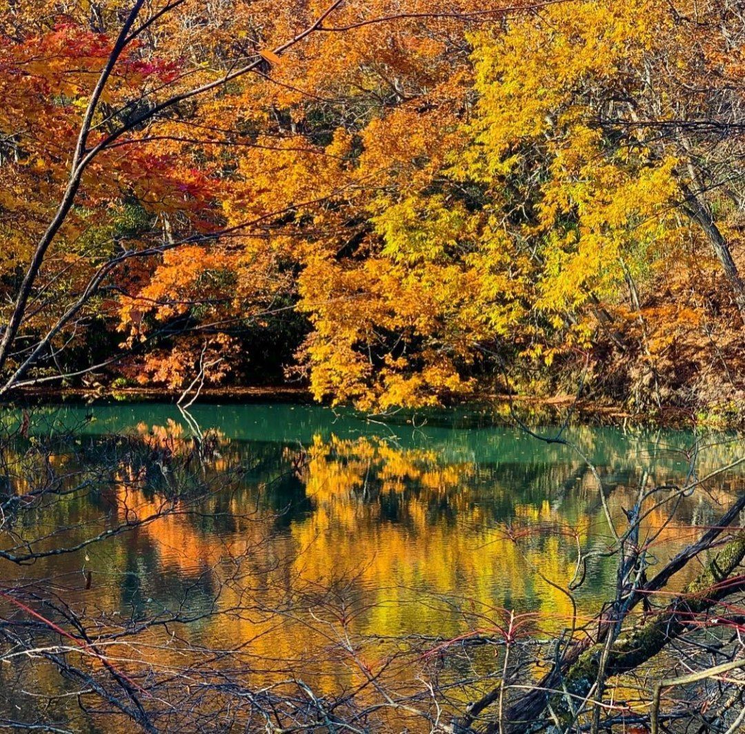 Reflection of Autumn