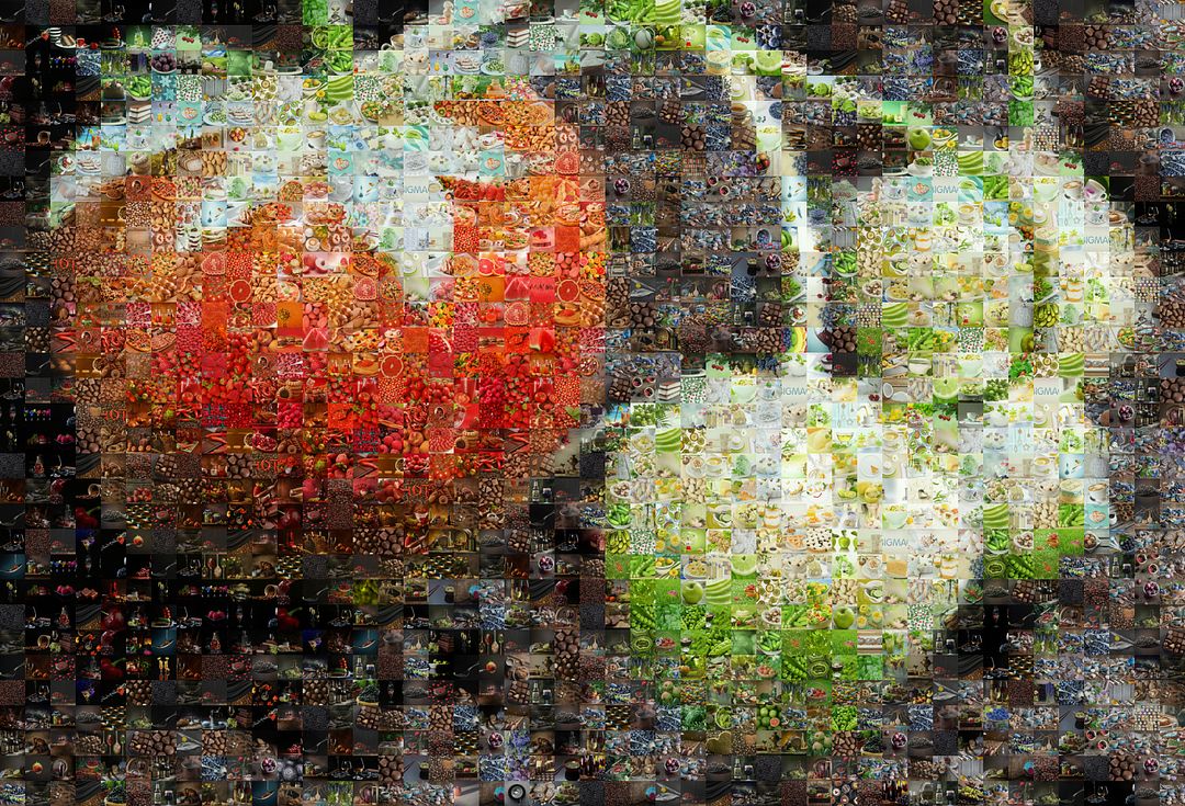 photo-mosaic-3