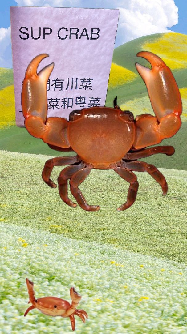 Sup crab