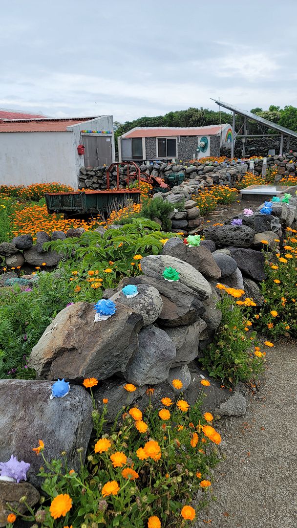 Full of flowers in JEJU