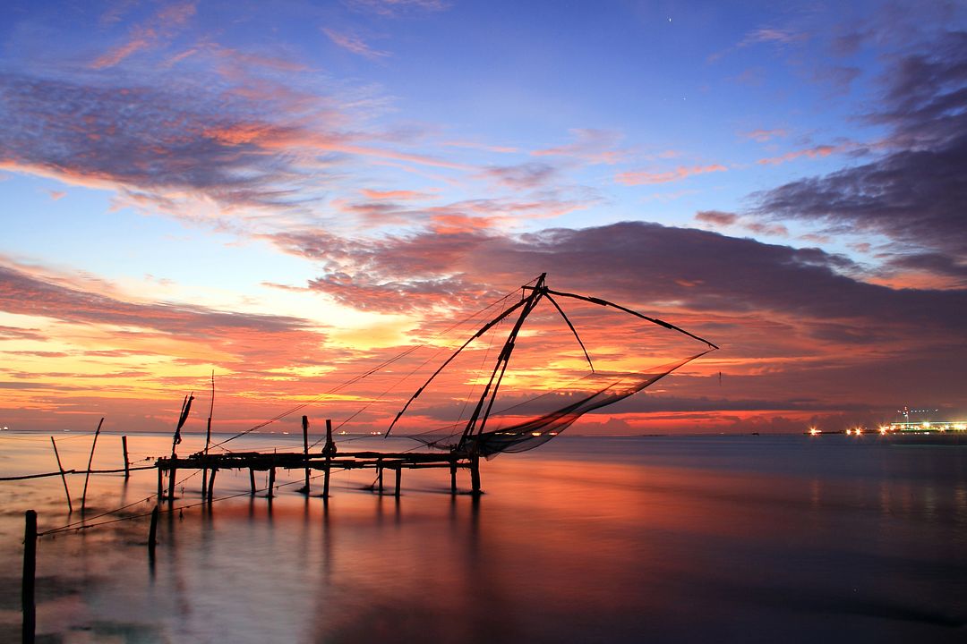 Nature's Palette at Fort Kochi