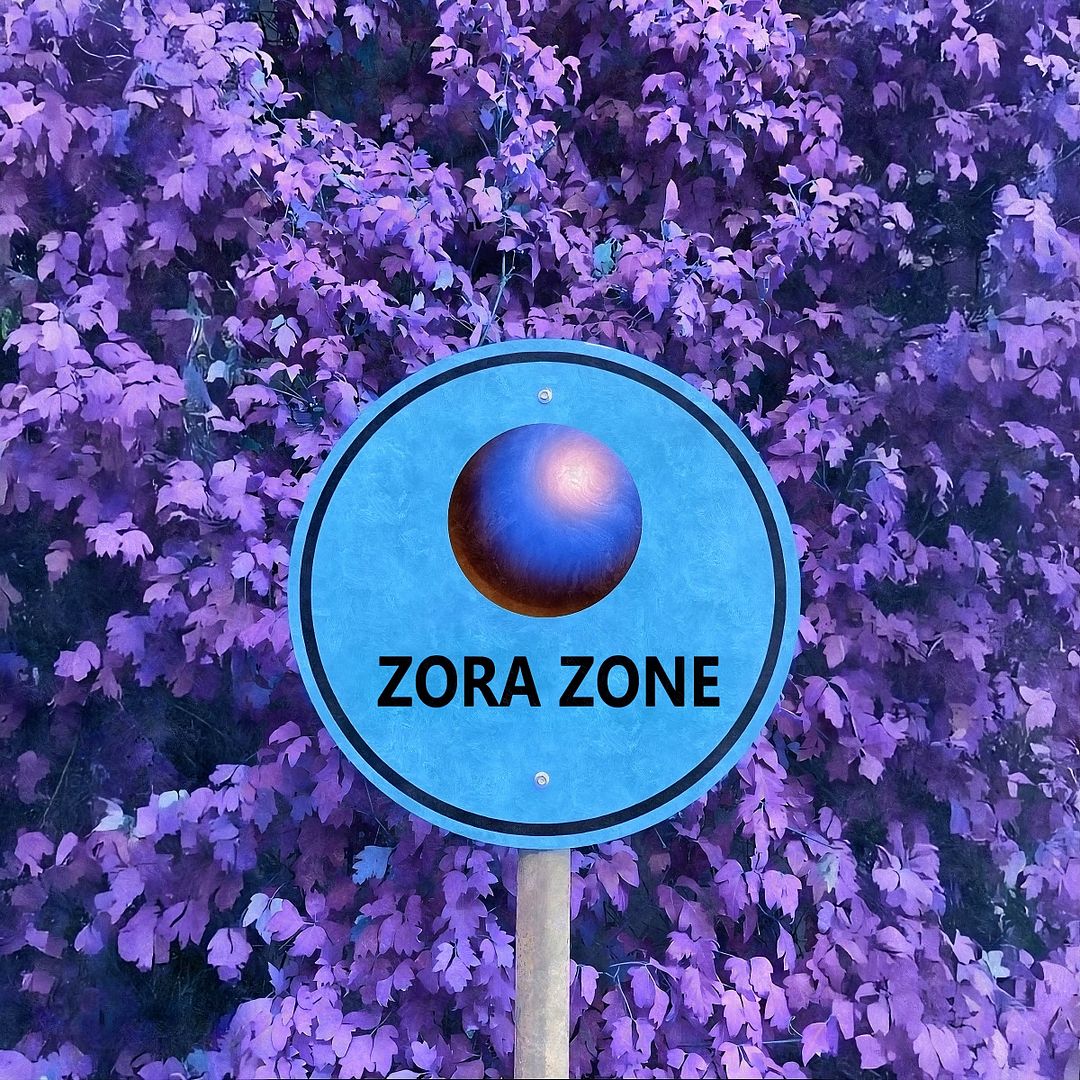 $ENJOY ZORA ZONE