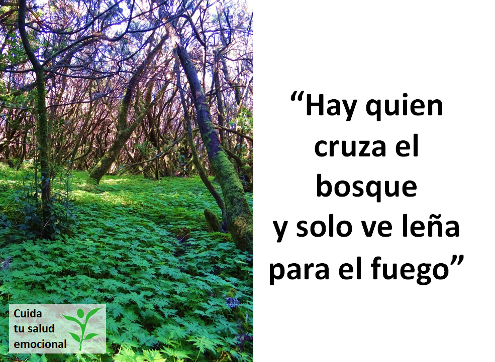 Bosque