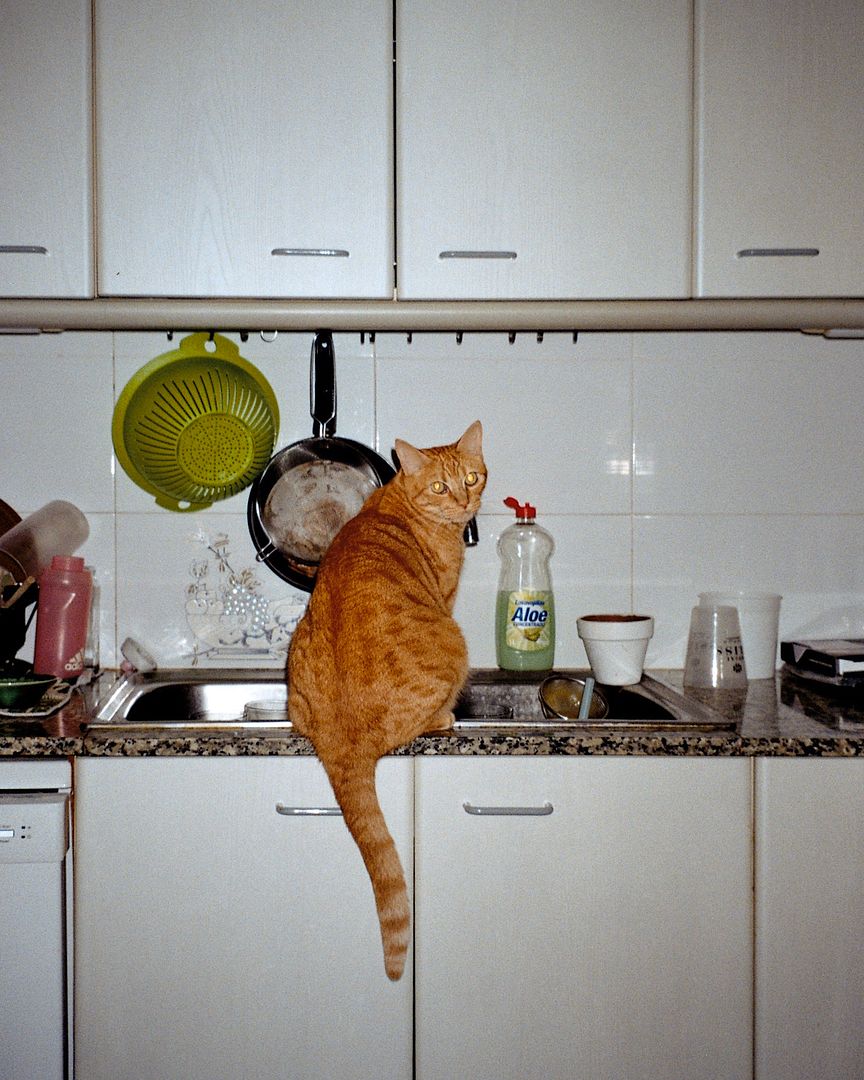 Little dude doing the dishes