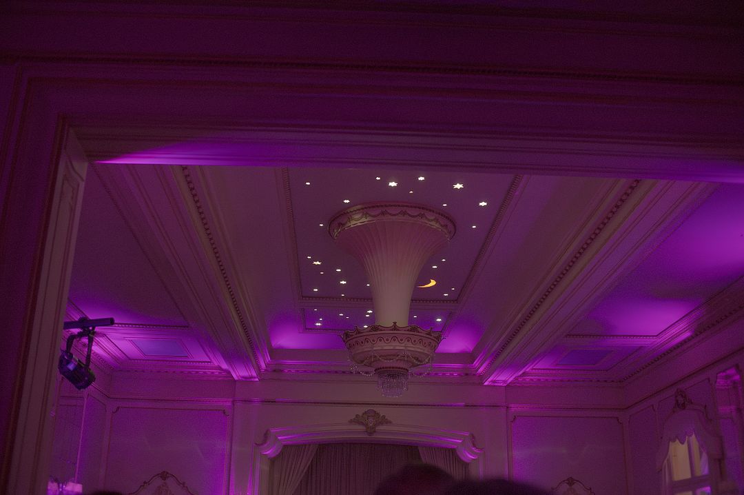 Purple Ceiling Picture