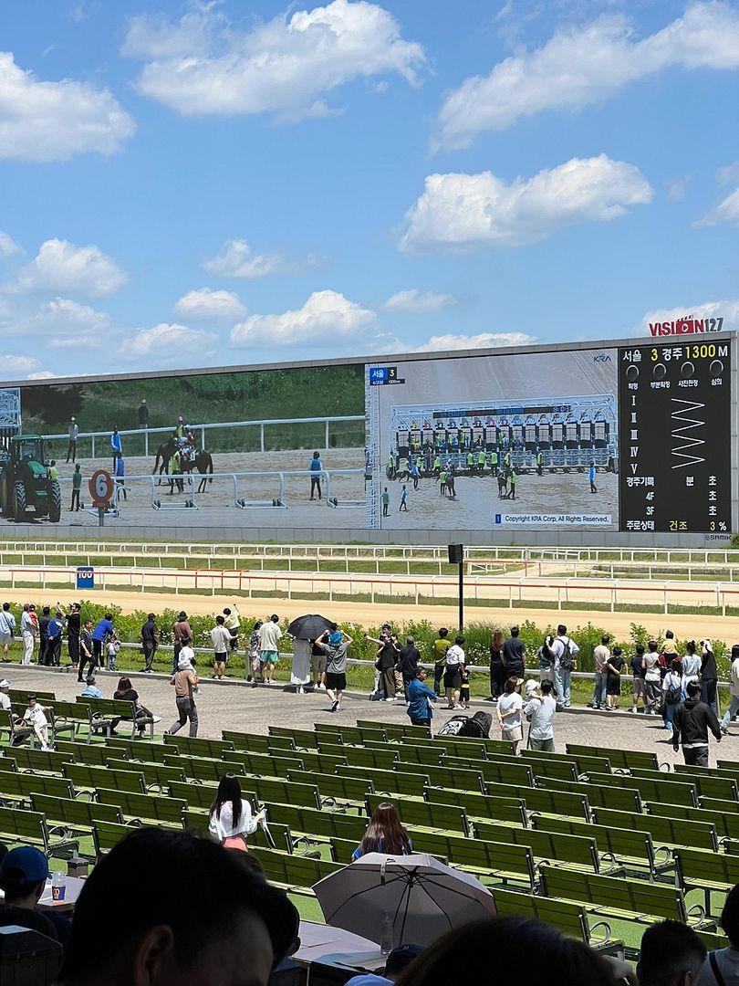 Gwacheon 💕 Racecourse ❤️ Outing