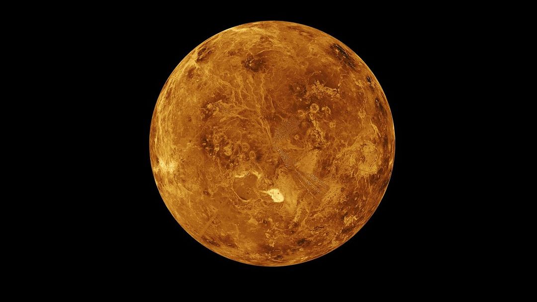 Venus