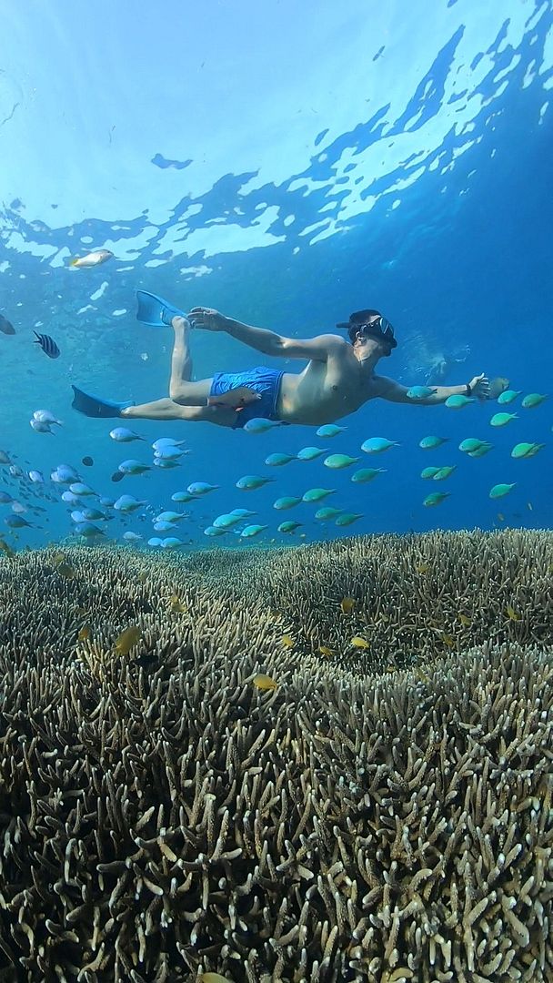 Snorkeling