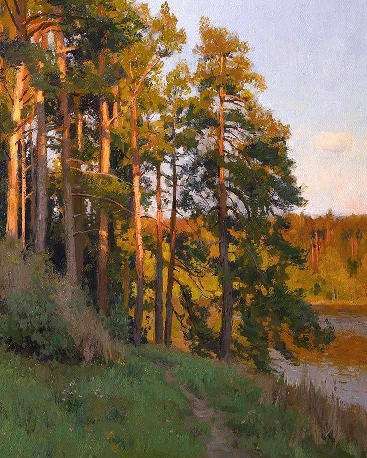 picture of a forest by a river