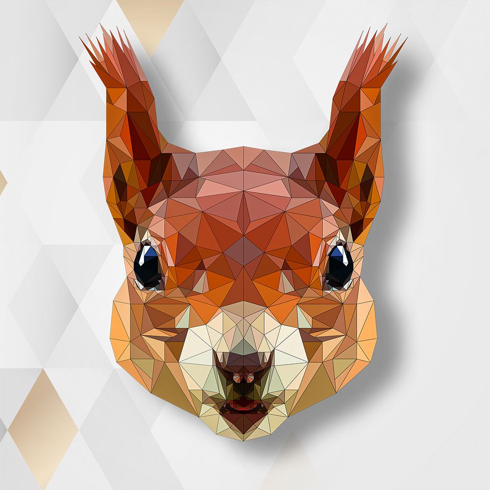 Geometric squirrel