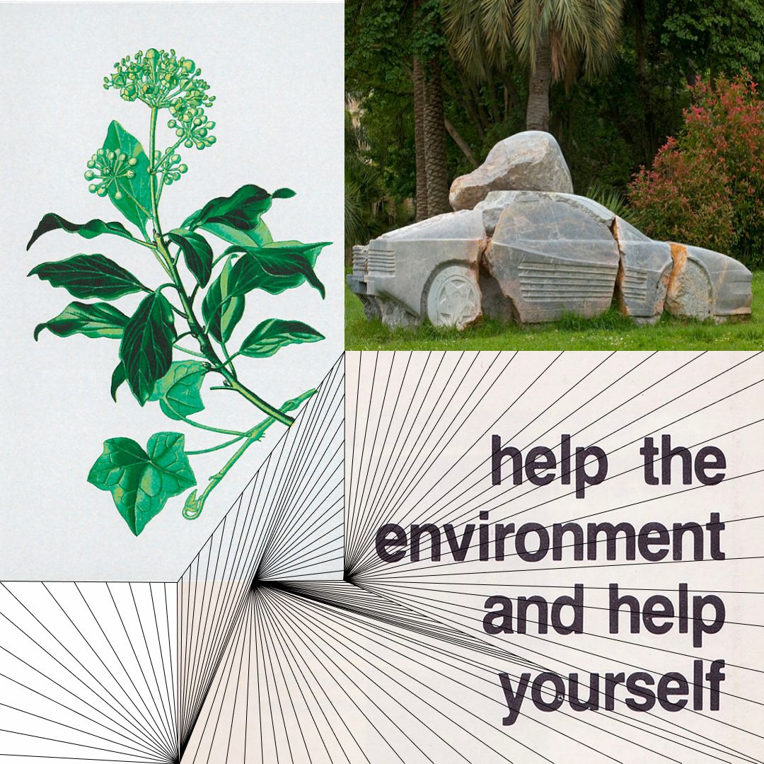 help the environment help yourself