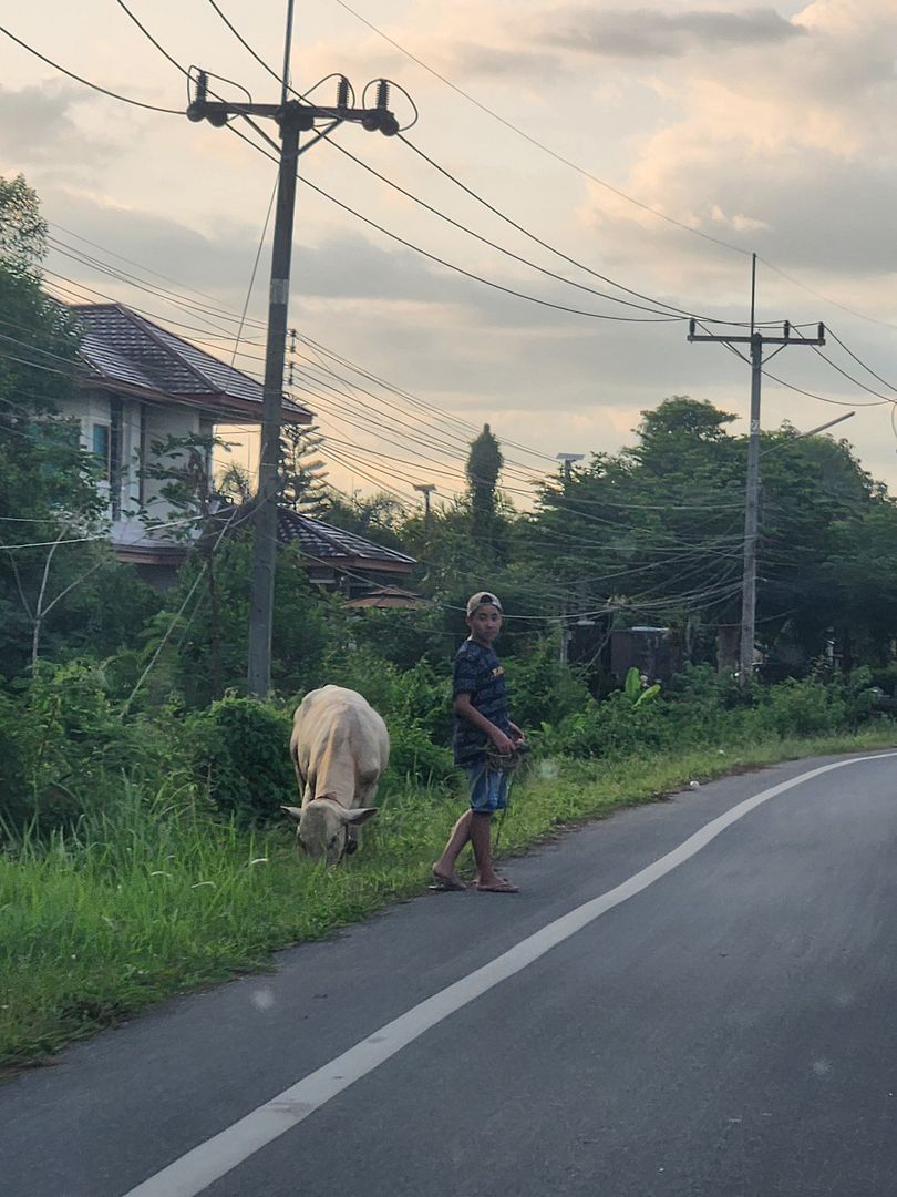 Street @Hat Yai