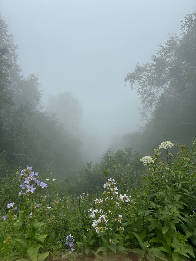 Enjoy the walk in the clouds