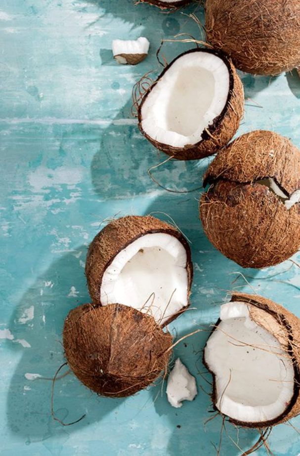 coconut