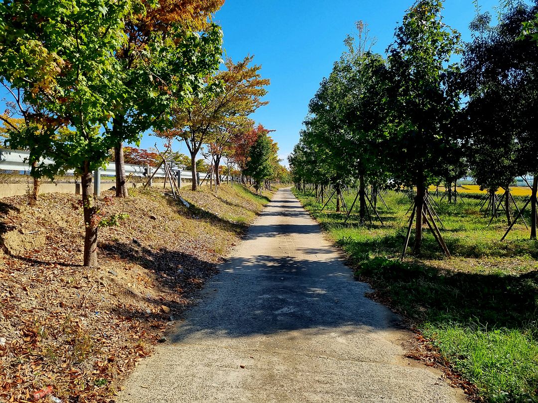 Quiet road