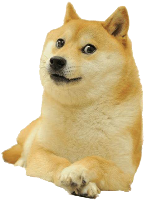 doggy doge rip