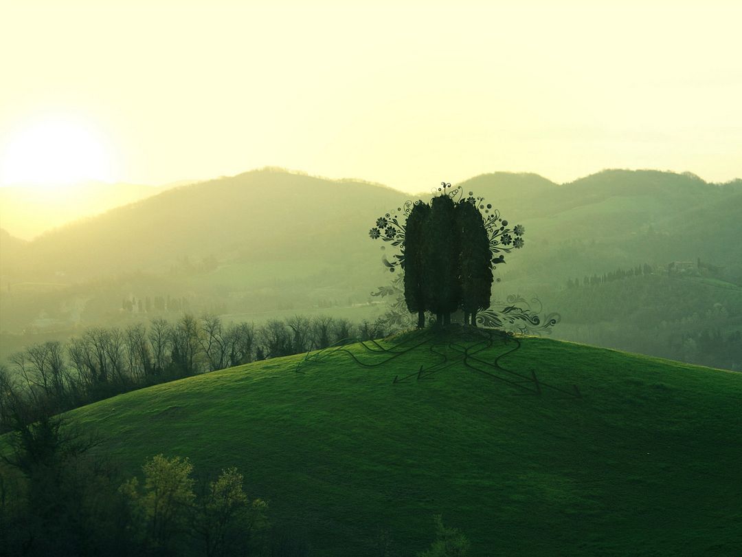 The image shows a landscape with hills, trees and a sunset.  Images of a tree on a hill in Tuscany, Italy can be found on the following resources:   Photo "Close-up of a lonely tree on a hill in Tuscany, Italy, on a sunny day."  Article "Tuscany and cypresses: inseparable companions" with a description of the cypress tree, the symbol of the Tuscany region.  Photo "Tree on a hill, Tuscany — Italy / Tuscany — Italy, photographer Lorenzo Nadalini".  Stock photos on the theme "Tuscan Trees Pictures".