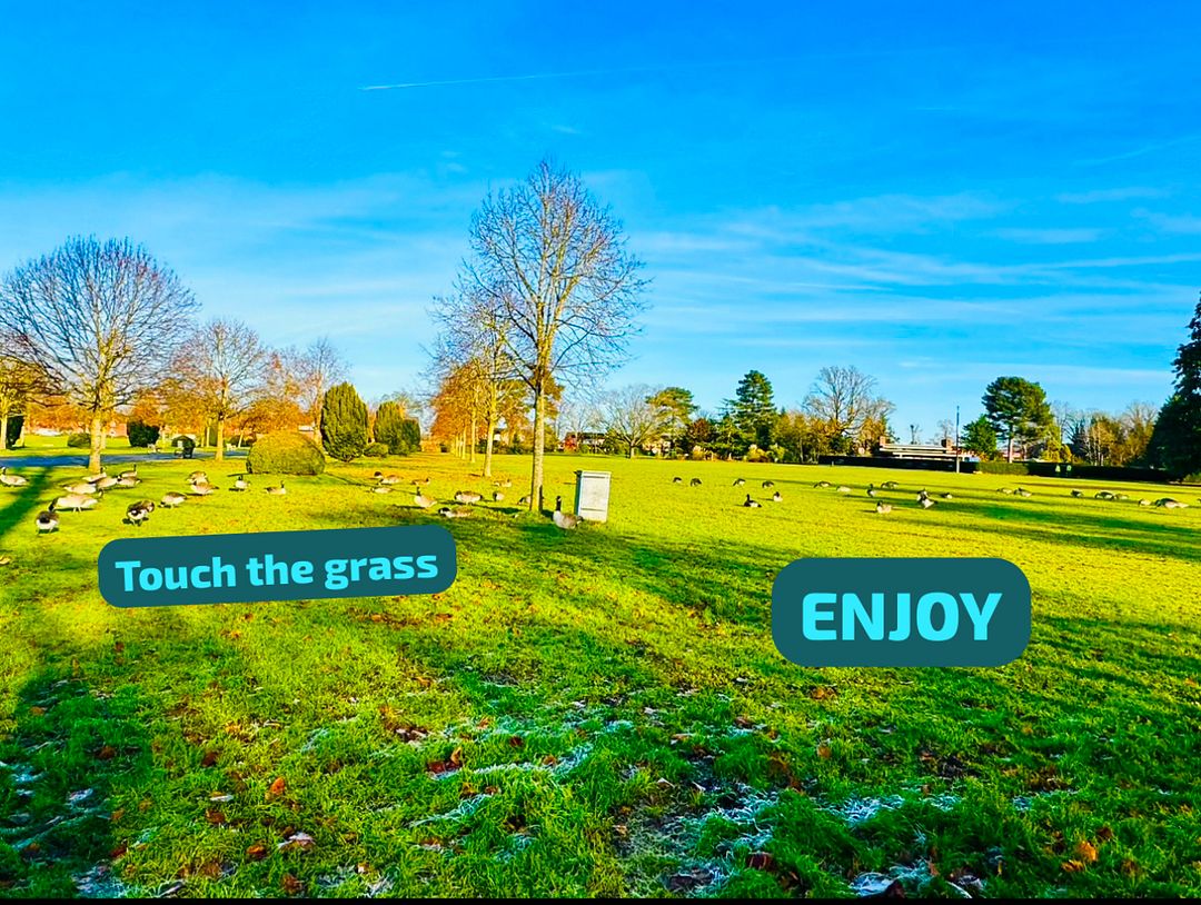 Enjoy touching grass