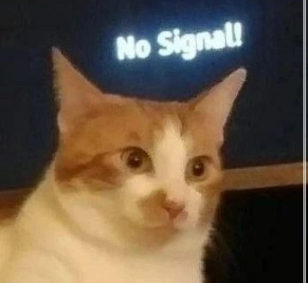 NO SIGNAL!