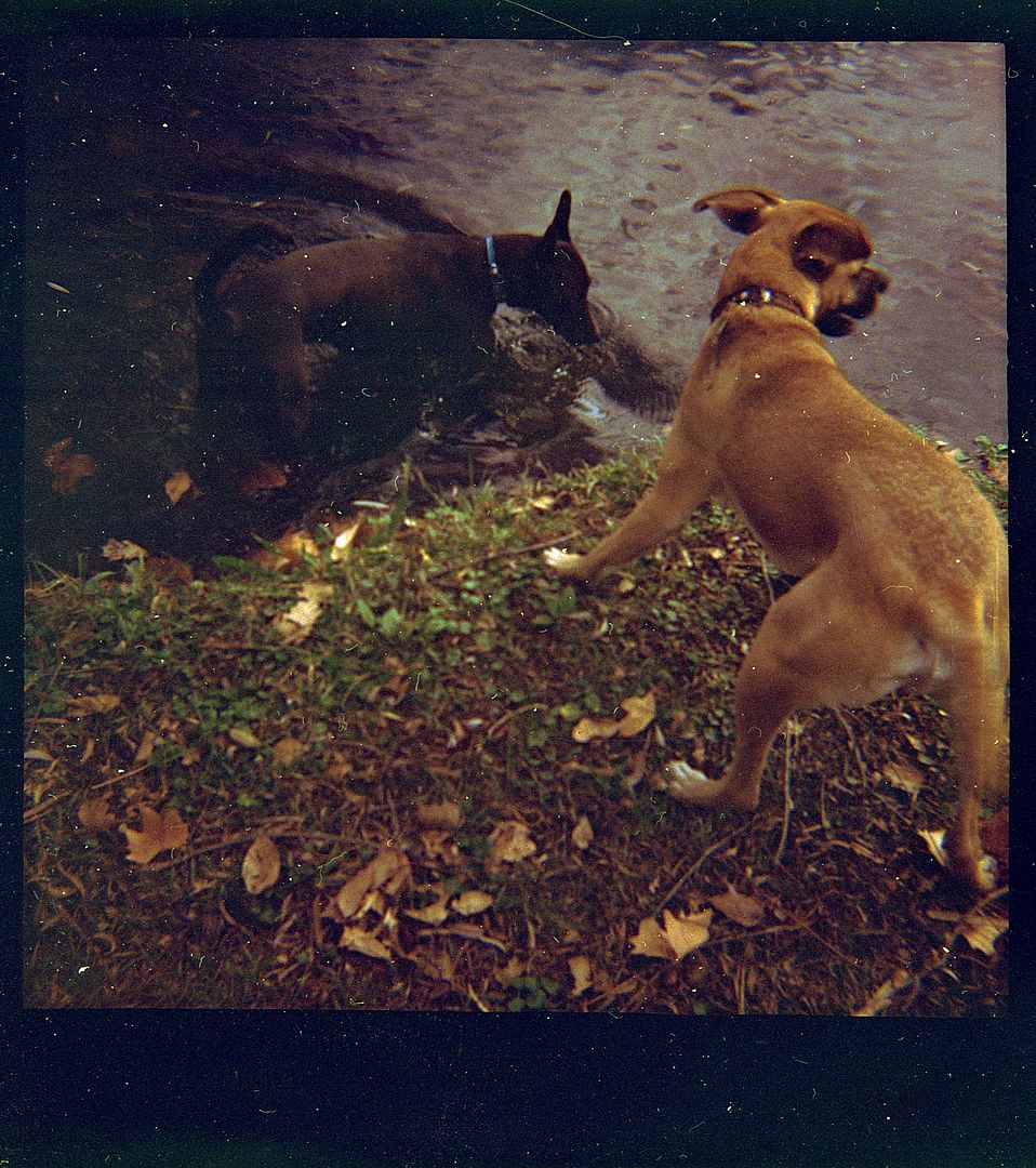 Chocos on the Riverside x Diana120film