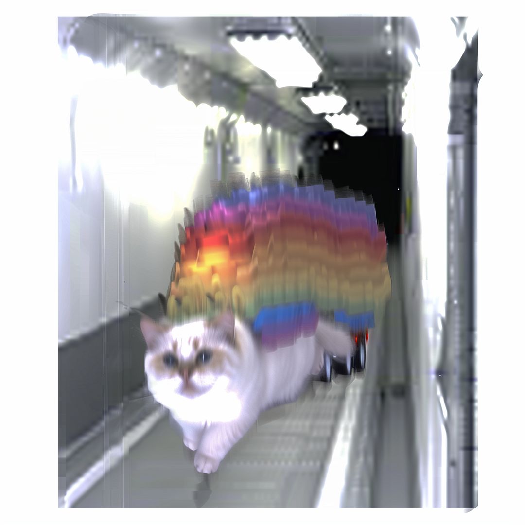 #2024_NYANCAT