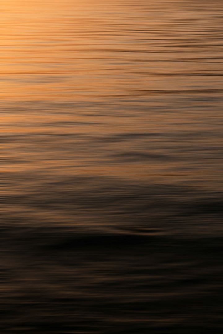 a-bird-flying-over-a-body-of-water-at-sunset