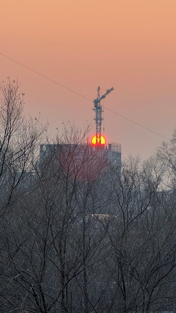 the crane brings down the sun)