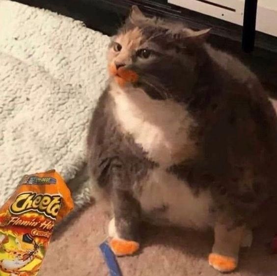 who ate cheetos?