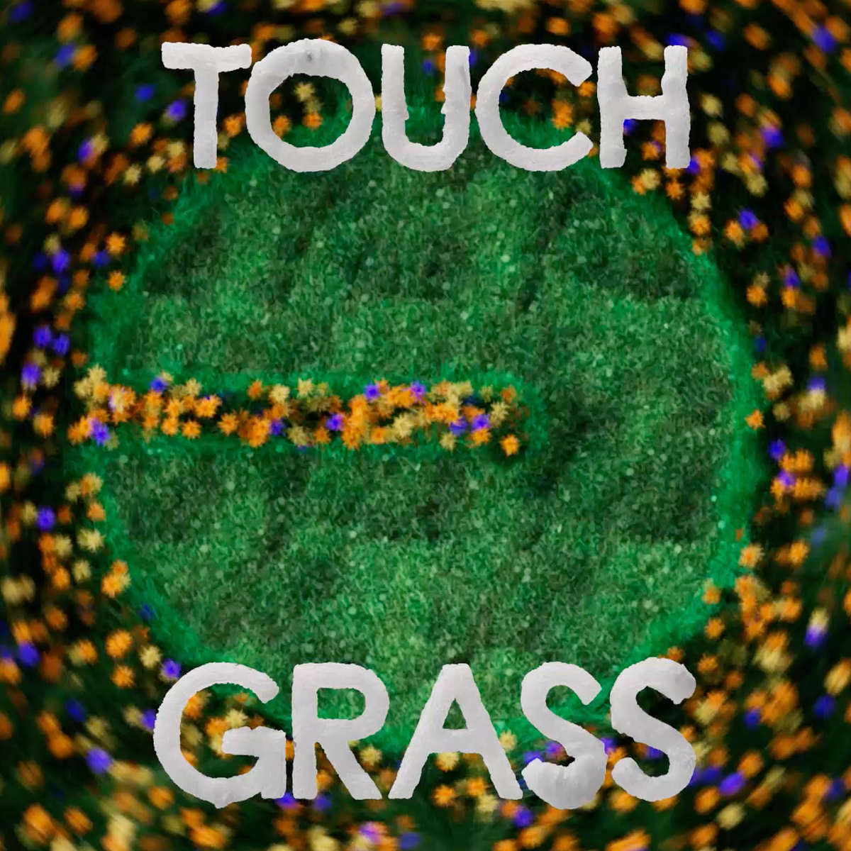 Touch Grass