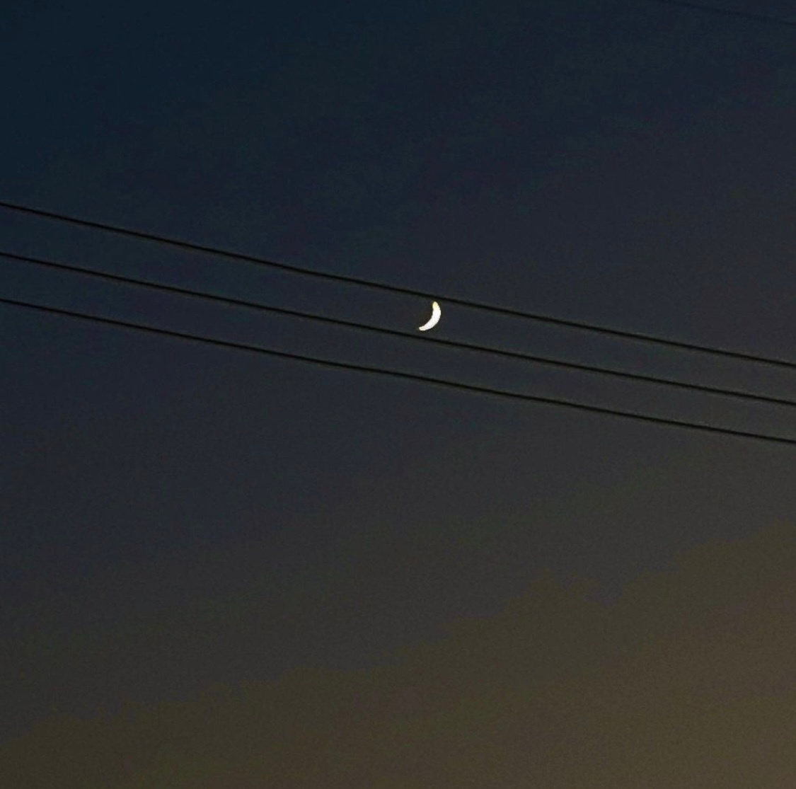 The Moon in the music