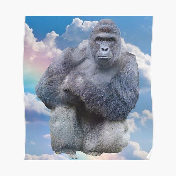 Harambe RIP 2016