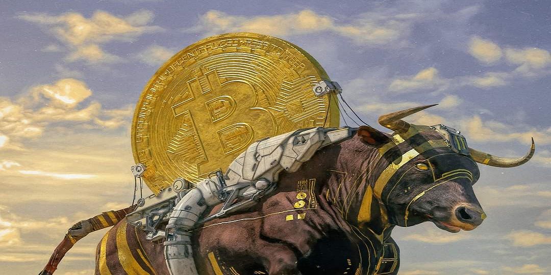 Bitcoin Bull