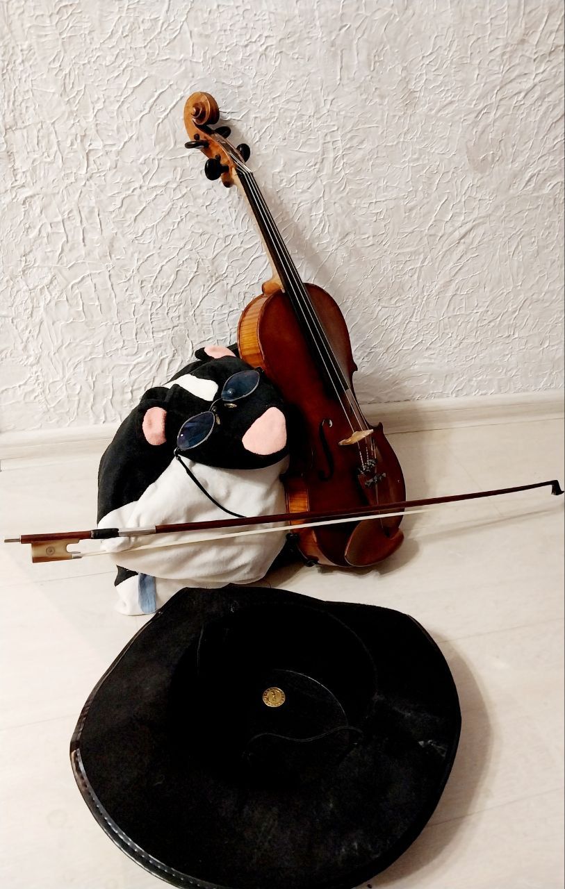 Badger and violin 3 