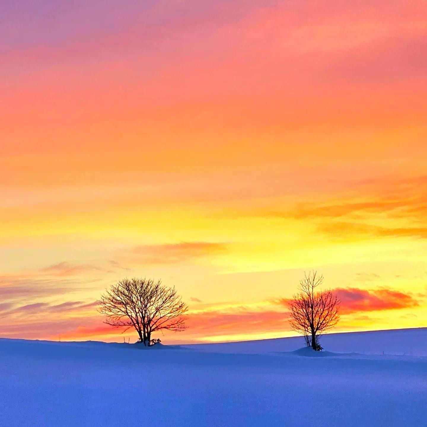 Sunset of Hokaido, Biei