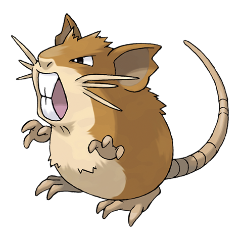 Raticate