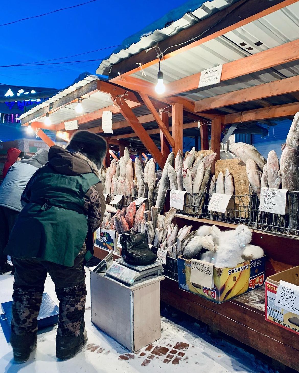 Frozen market