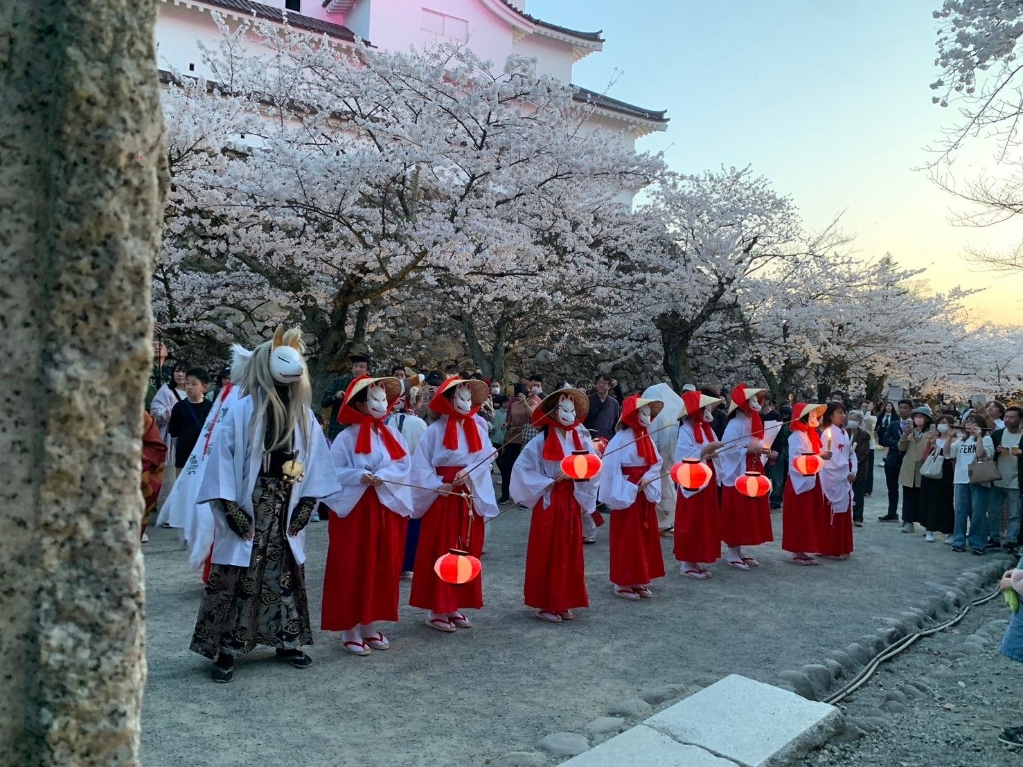 Japanese white fox parade in Samurai city Aizu.