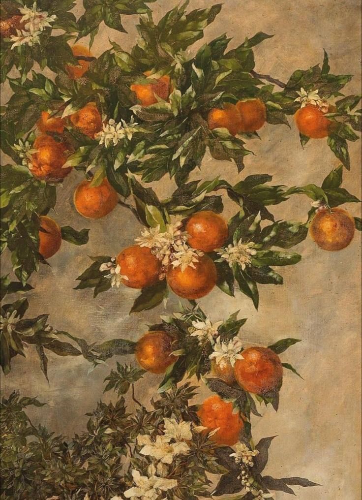 picture of blooming tangerines