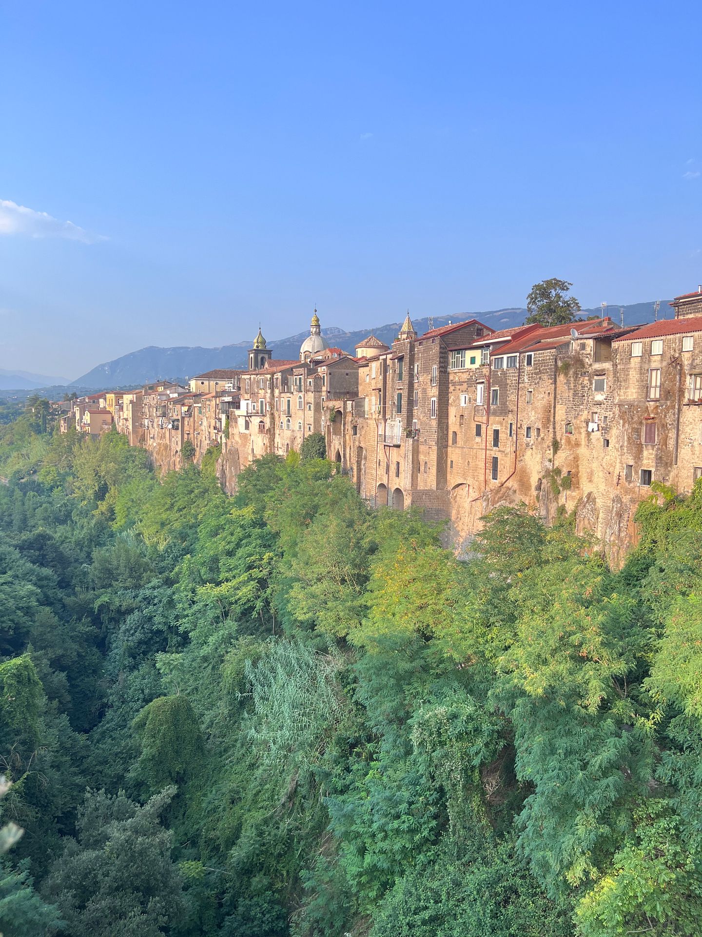 Medieval between greenery and sky