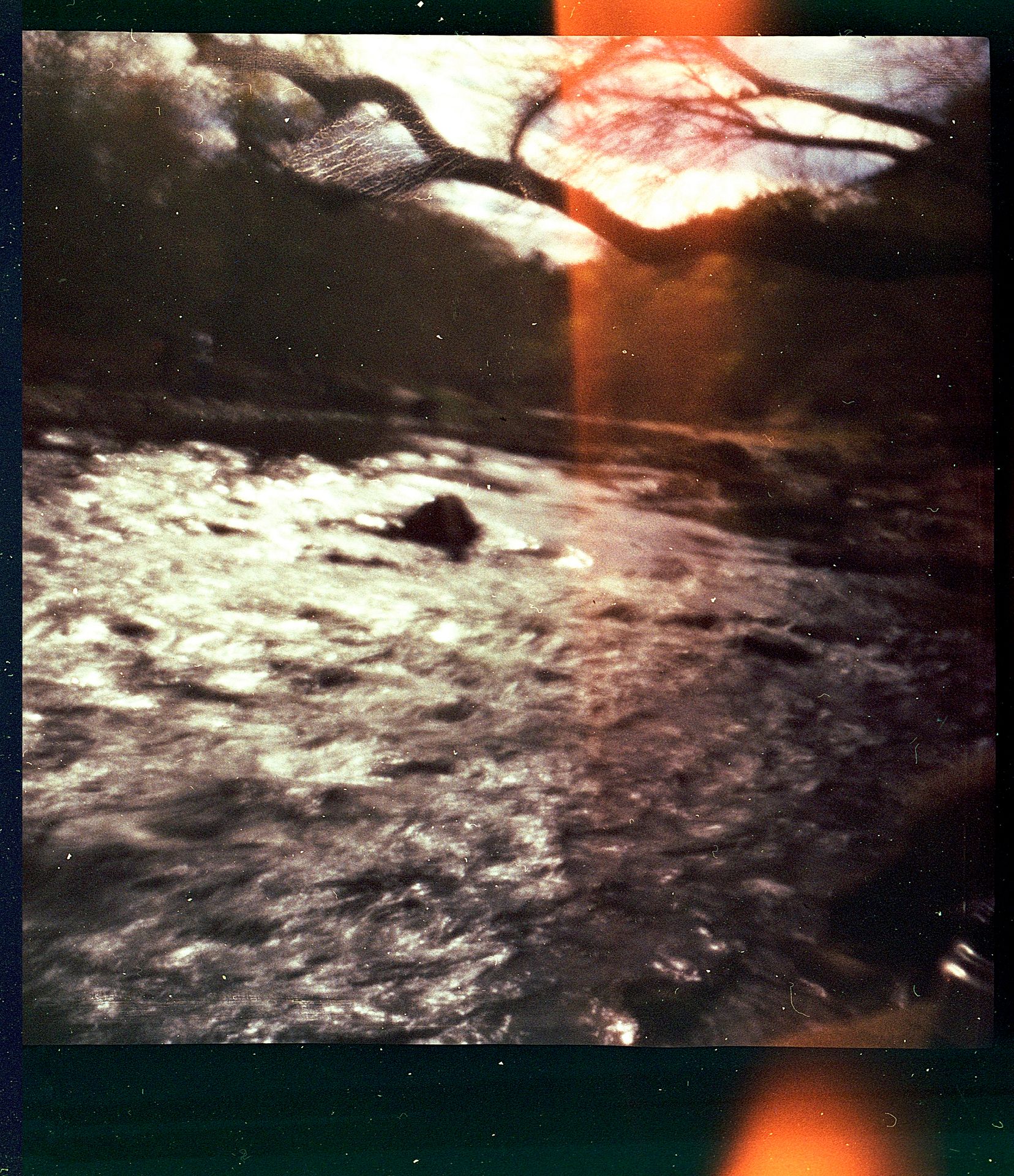 Riverside x Diana120film 