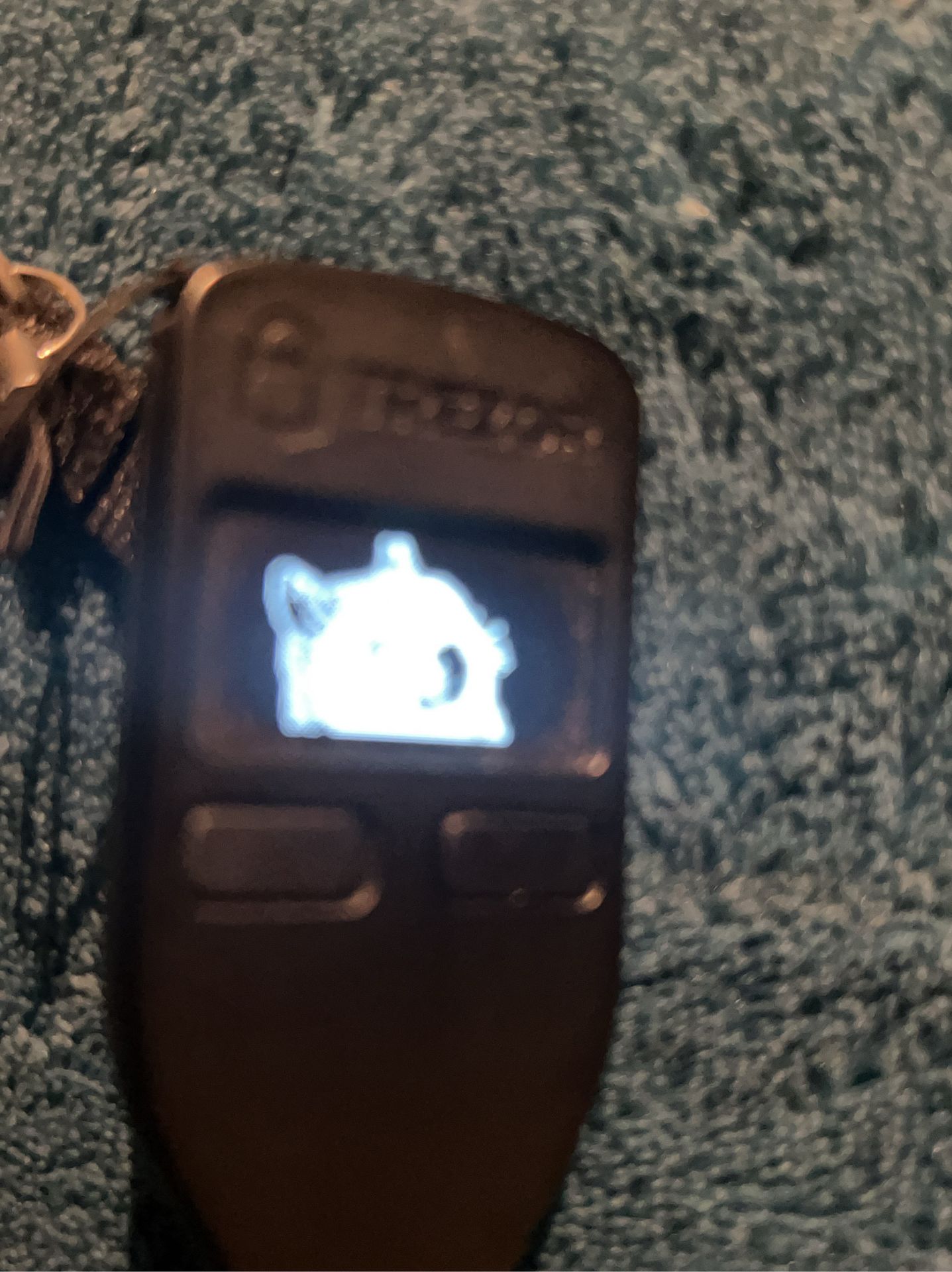 Blurred trezor