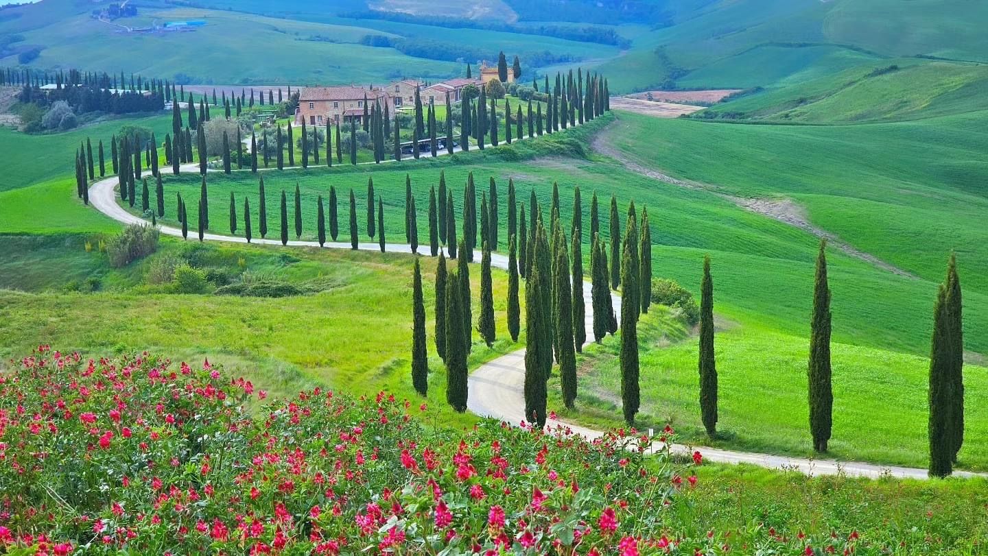 Tusany, Italy (이탈리아 토스카나)