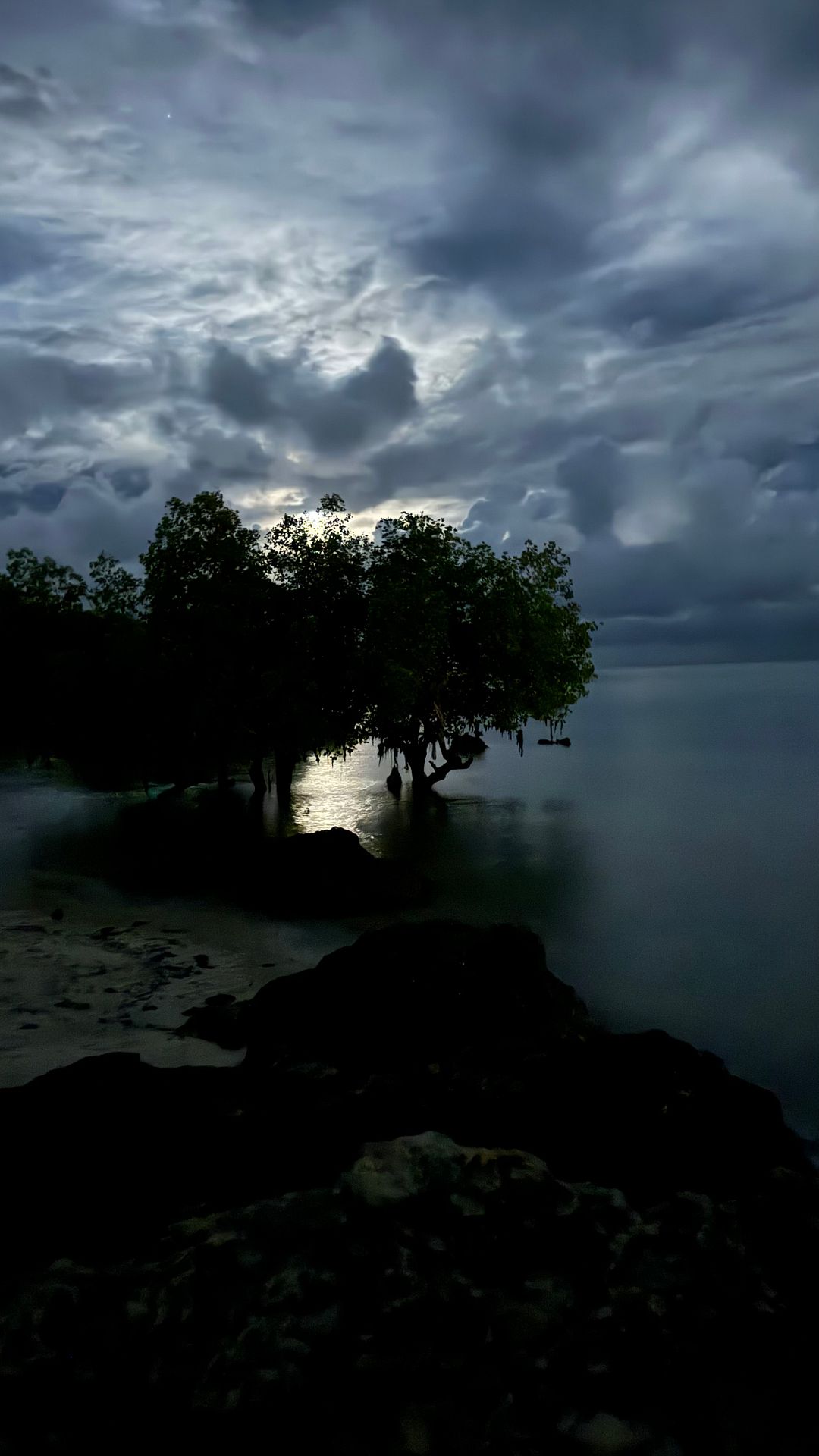 From the shore - Kilifi, Kenya 🇰🇪 