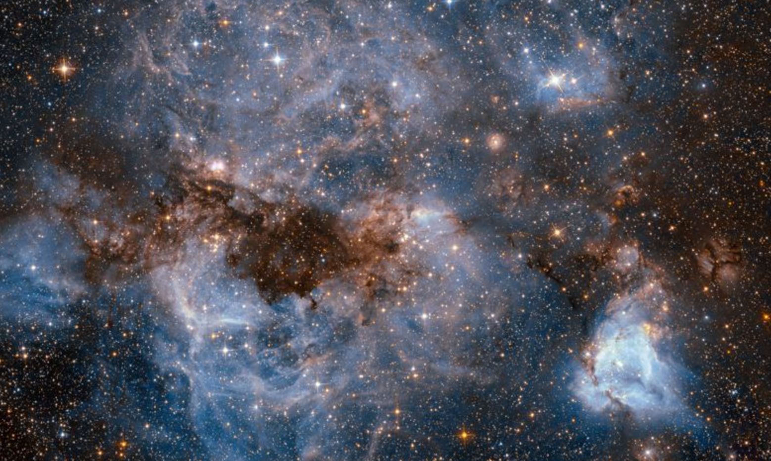 The Large Magellanic Cloud